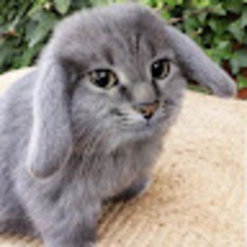 Meet your Posher, Melancholie